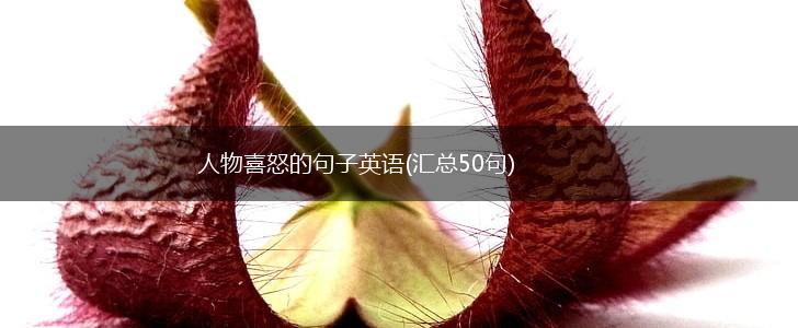 人物喜怒的句子英语(汇总50句),第1张