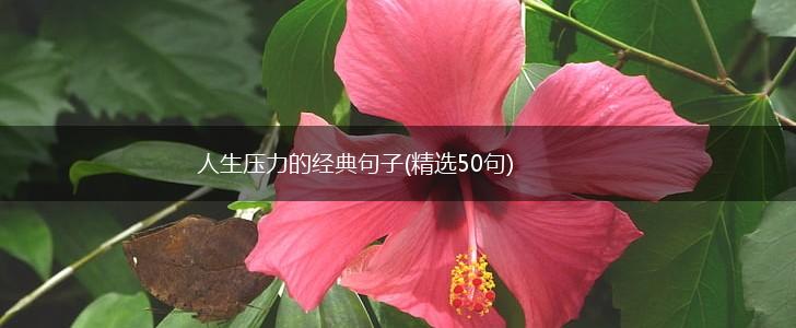 人生压力的经典句子(精选50句),第1张