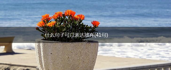 什么句子可以表达放弃(41句),第1张
