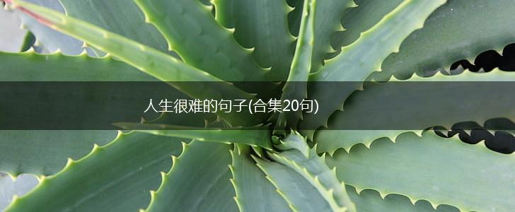 人生很难的句子(合集20句),第1张