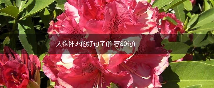 人物神态的好句子(推荐80句),第1张