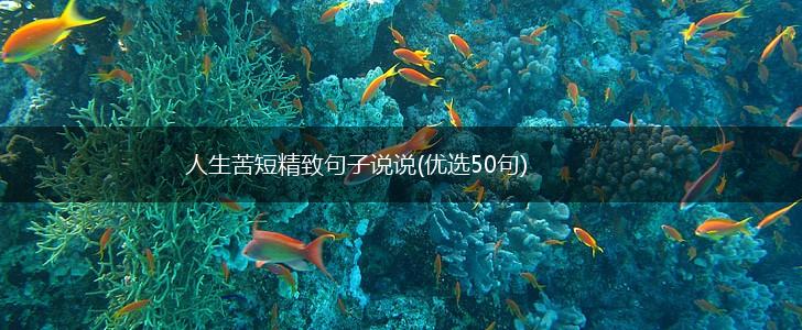 人生苦短精致句子说说(优选50句),第1张