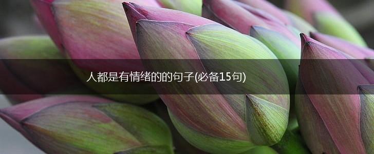 人都是有情绪的的句子(必备15句),第1张
