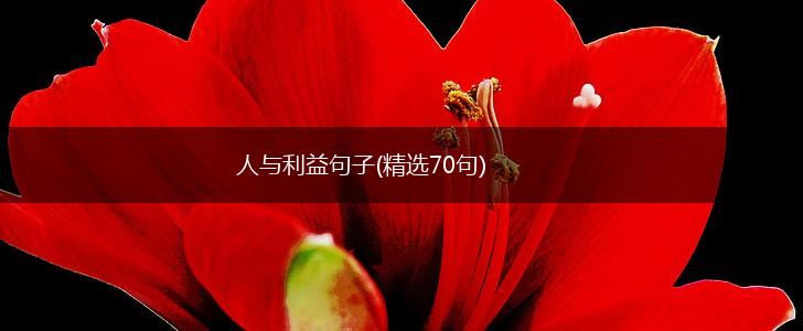 人与利益句子(精选70句),第1张