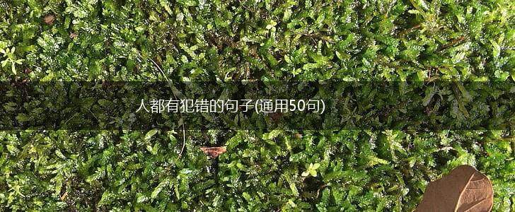 人都有犯错的句子(通用50句),第1张