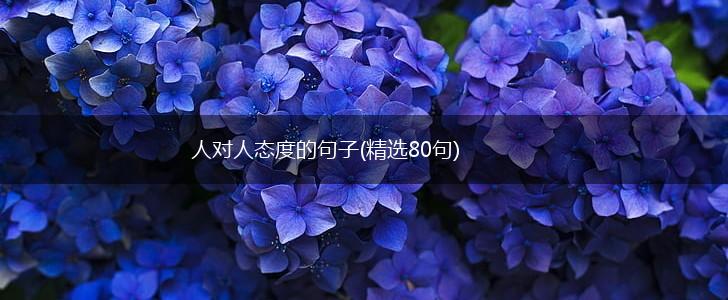 人对人态度的句子(精选80句),第1张