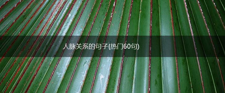 人脉关系的句子(热门60句),第1张