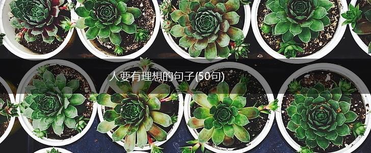 人要有理想的句子(50句),第1张