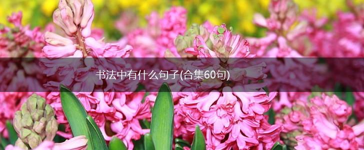 书法中有什么句子(合集60句),第1张