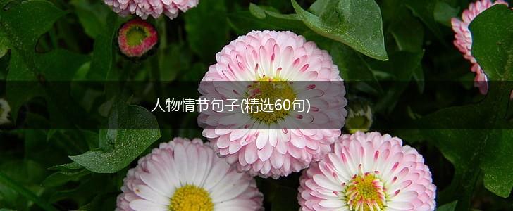 人物情节句子(精选60句),第1张
