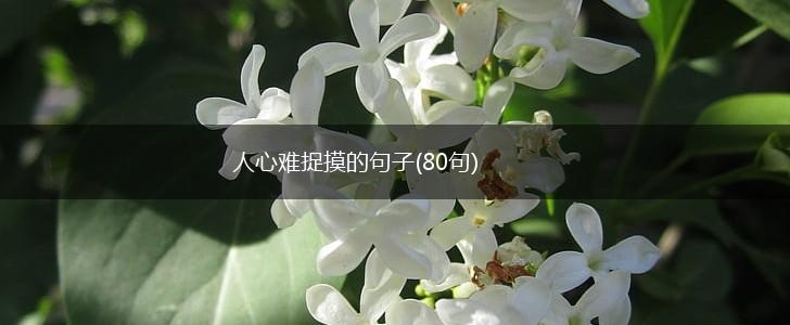 人心难捉摸的句子(80句),第1张