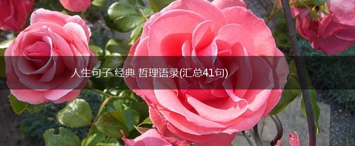 人生句子 经典 哲理语录(汇总41句),第1张