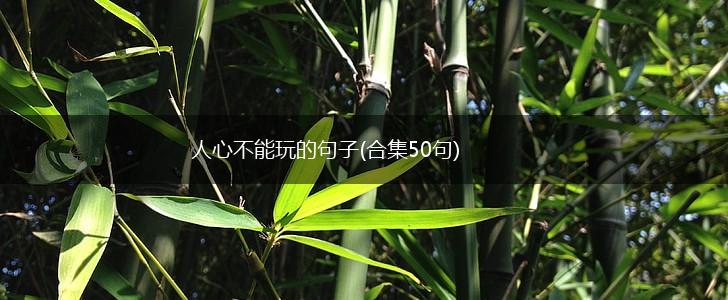 人心不能玩的句子(合集50句),第1张