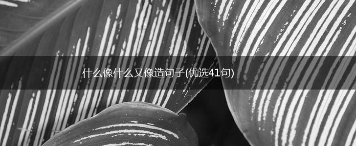 什么像什么又像造句子(优选41句),第1张