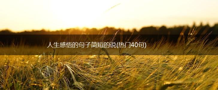 人生感悟的句子简短的说(热门40句),第1张
