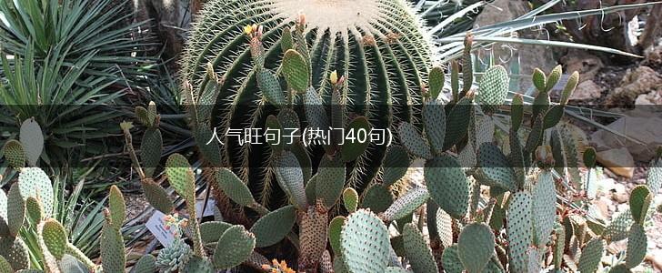 人气旺句子(热门40句),第1张