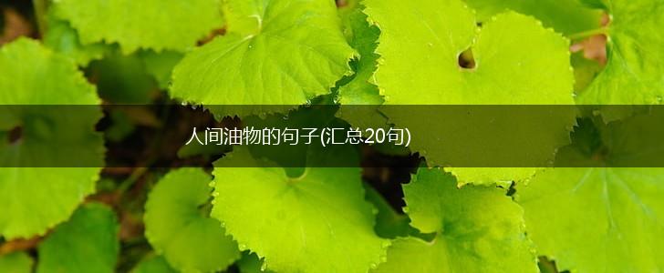 人间油物的句子(汇总20句),第1张