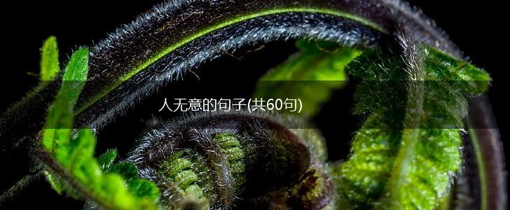 人无意的句子(共60句),第1张