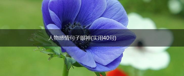 人物感情句子眼神(实用40句),第1张