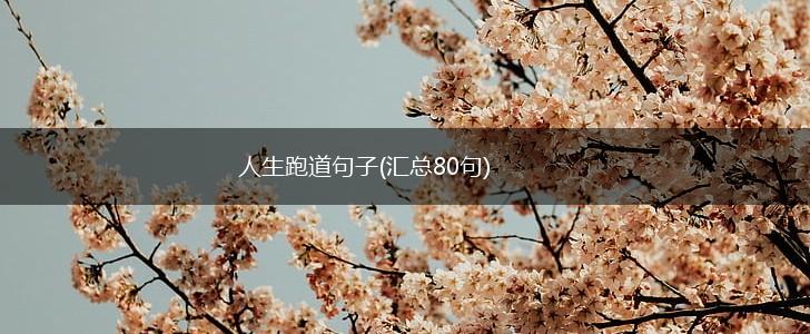 人生跑道句子(汇总80句),第1张