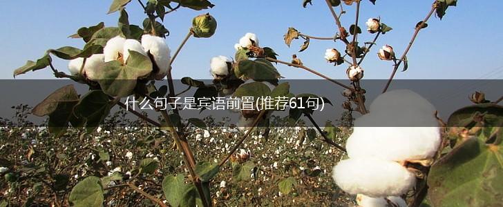 什么句子是宾语前置(推荐61句),第1张