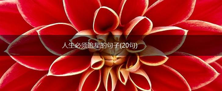 人生必须追星的句子(20句),第1张