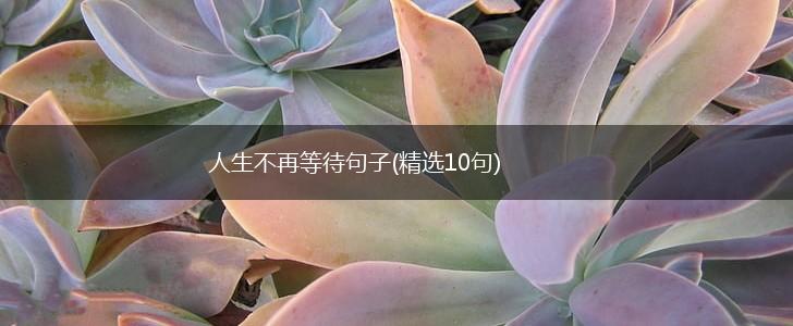 人生不再等待句子(精选10句),第1张