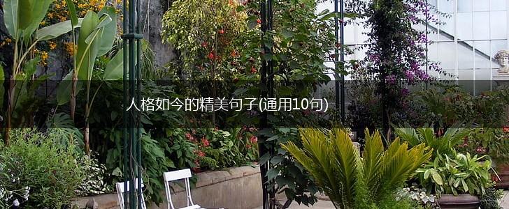 人格如今的精美句子(通用10句),第1张