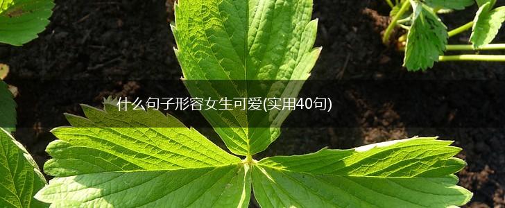什么句子形容女生可爱(实用40句),第1张