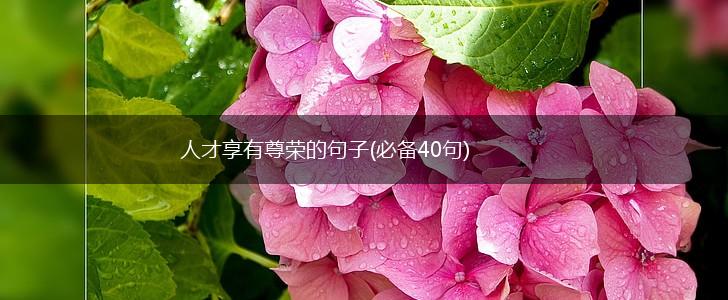 人才享有尊荣的句子(必备40句),第1张