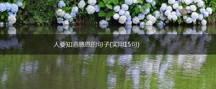 人要知道感恩的句子(实用15句),第1张