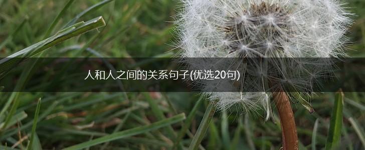 人和人之间的关系句子(优选20句),第1张