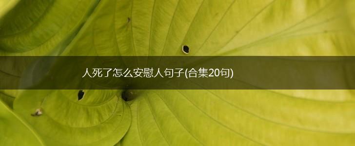 人死了怎么安慰人句子(合集20句),第1张