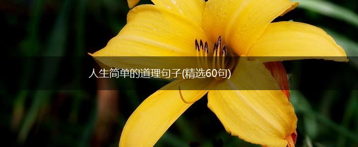 人生简单的道理句子(精选60句),第1张