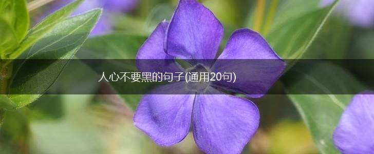 人心不要黑的句子(通用20句),第1张