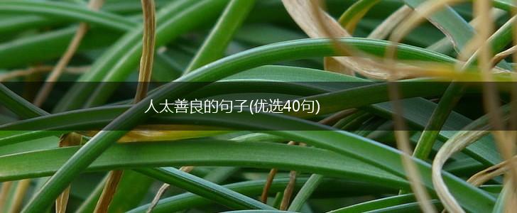 人太善良的句子(优选40句),第1张