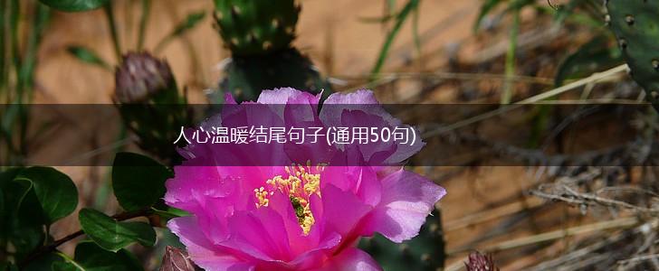 人心温暖结尾句子(通用50句),第1张