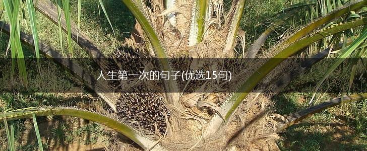 人生第一次的句子(优选15句),第1张