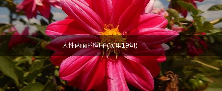 人性两面的句子(实用19句),第1张