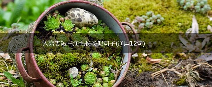 人穷志短马瘦毛长类似句子(通用12句),第1张