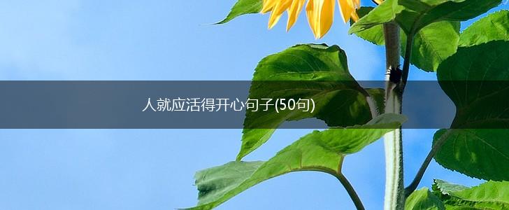 人就应活得开心句子(50句),第1张