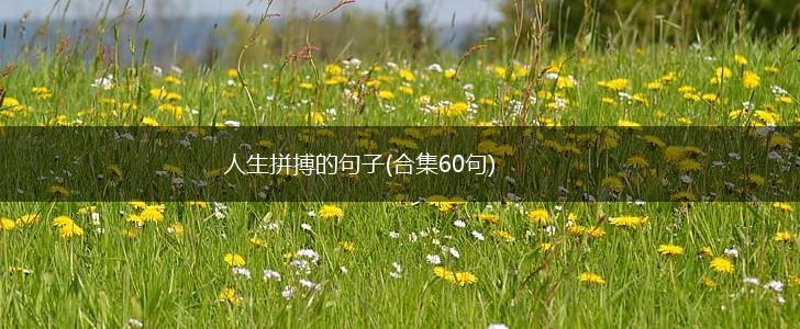人生拼搏的句子(合集60句),第1张