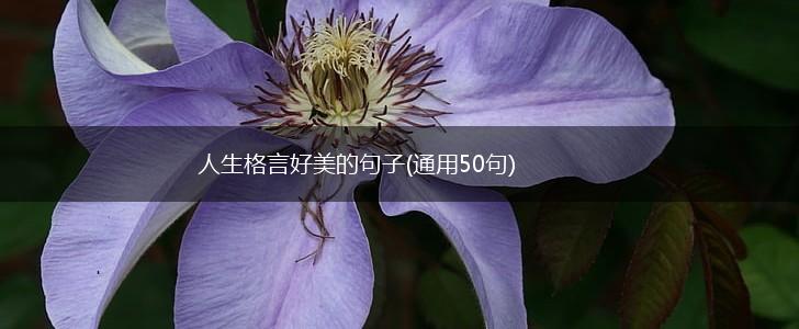 人生格言好美的句子(通用50句),第1张
