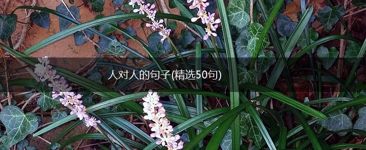 人对人的句子(精选50句),第1张