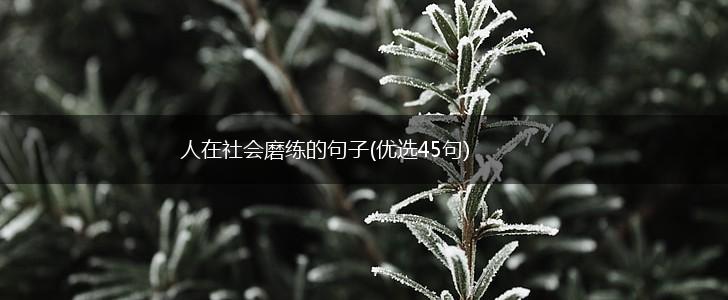 人在社会磨练的句子(优选45句),第1张