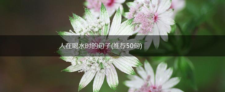 人在喝水时的句子(推荐50句),第1张