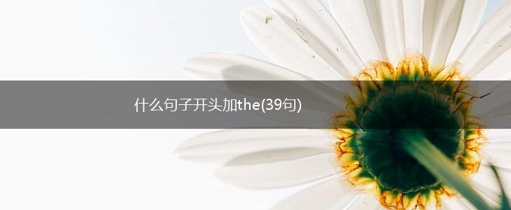 什么句子开头加the(39句),第1张