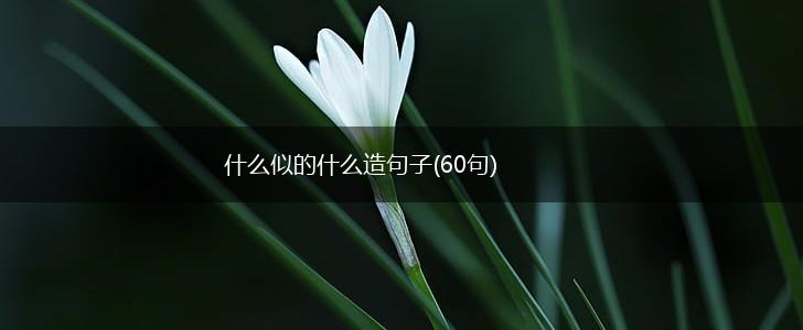 什么似的什么造句子(60句),第1张