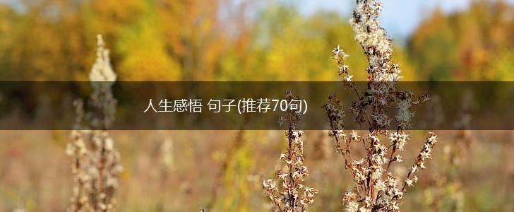 人生感悟 句子(推荐70句),第1张