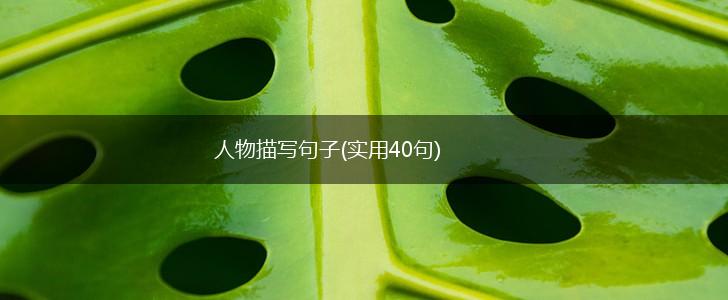 人物描写句子(实用40句),第1张